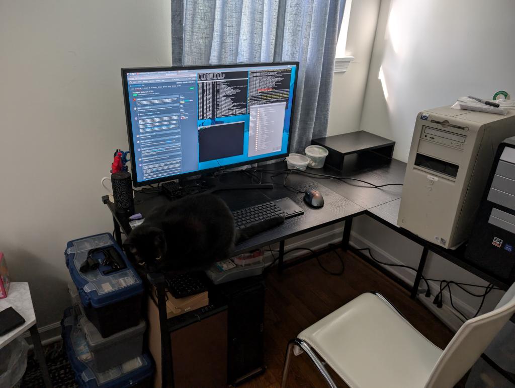 Corner desk in office.  Guard cat optional.